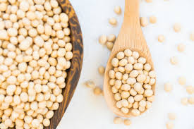 GMO Soybeans